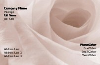 White Rose Full Colour Business Cards