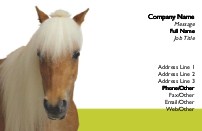 Barnyard Blonde Full Colour Magnetic Business Cards