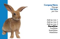Cuddle Bunny Recycled Business Cards