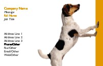 Climbing the Walls Full Colour Business Cards