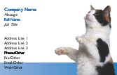 Playful Feline Recycled Business Cards