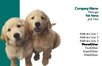 Retriever Puppies Recycled Business Cards