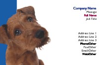 Sad Dog Recycled Business Cards