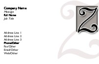 Italic Monogram Z Full Colour Magnetic Business Cards