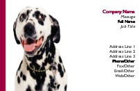Perky Pooch Full Colour Business Cards