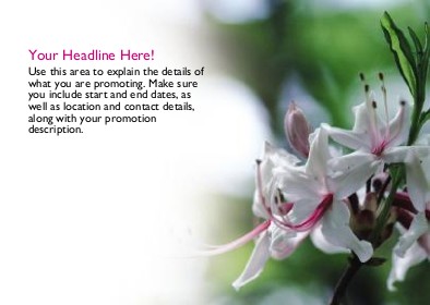 Pink Honeysuckle Full Colour Standard Sized Postcards