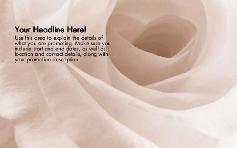White Rose Full Colour Oversized Postcards