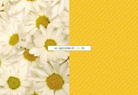 White Daisies