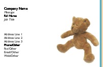 Teddy Bear Full Colour Business Cards