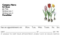 Bright Bulbs Full Colour Appointment Cards