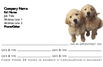 Puppies