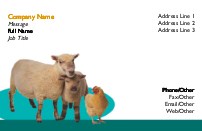 Barnyard Buddies Full Colour Magnetic Business Cards