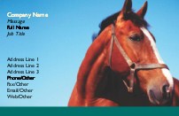 Horse Right Profile Full Colour Magnetic Business Cards