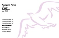 Pink Dove