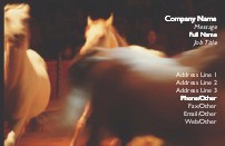 Running Horses Full Colour Magnetic Business Cards