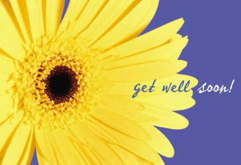 Sunflower Get Well