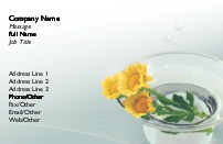 Striking Centrepiece Full Colour Magnetic Business Cards