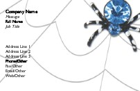 Spider in Web