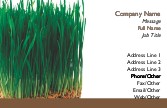 Wheat Grass Full Colour Business Cards