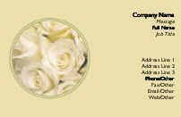 Snow White Roses