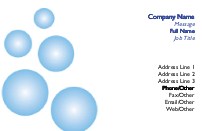 Soapy Spheres Full Colour Magnetic Business Cards