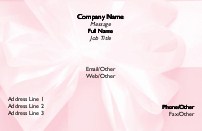 Wedding Gift with Satin Bow Full Colour Business Cards