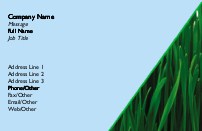 Lush Lawn Full Colour Business Cards