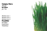 Tall Green Grass Full Colour Business Cards