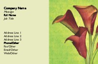 Botanical Image