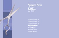 No Split Ends Full Colour Business Cards