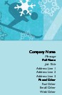 Downhill Skiing Full Colour Business Cards