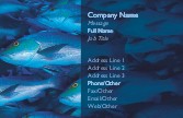 Big Catch Full Colour Magnetic Business Cards
