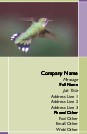 Hummingbird in Flight Full Colour Business Cards