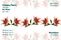 Lily Patterns