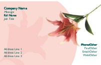 Single Lily
