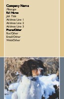 Puppy in Snow Full Colour Business Cards