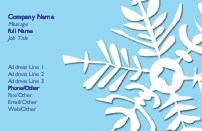 Large Snowflake