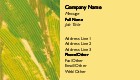 Sunny Strokes Recycled Business Cards