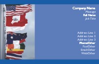 Flags of the World Full Colour Business Cards