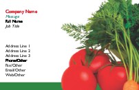 Fresh Tomatoes and Carrots