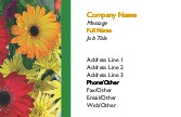 Vibrant Flowers Full Colour Magnetic Business Cards