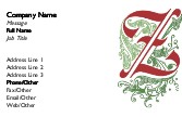 Floral Z Full Colour Magnetic Business Cards