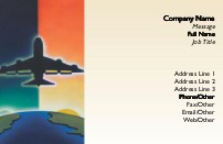 Jet Over the World Full Colour Business Cards