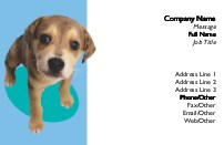 Puppy Mix Full Colour Business Cards