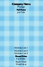 Aqua Gingham Full Colour Magnetic Business Cards