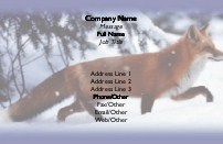 Close-Up of Fox Recycled Business Cards