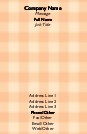Orange Gingham Full Colour Magnetic Business Cards