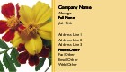 Perky Posies Full Colour Magnetic Business Cards
