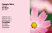 Dainty Petals Recycled Business Cards