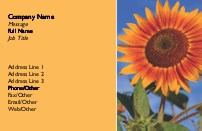 Sunflower in the Garden Recycled Business Cards